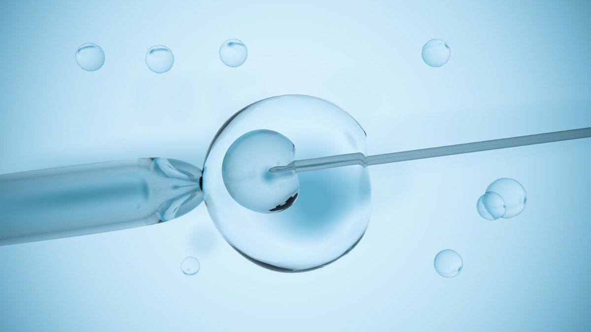 Especialistas afirman que a la ley de reproducción asistida le falta un marco regulatorio en el país.