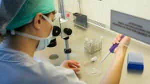 La Justicia ordenó a Ipross cubrir el tratamiento de fertilización asistida a una afiliada del Alto Valle