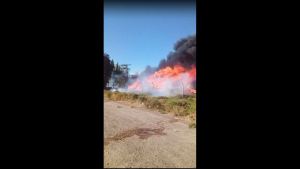 Incendio de grandes proporciones en el predio de una juguera en Cinco Saltos