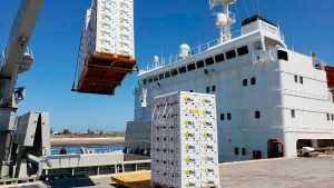 Otro año negativo para el puerto de San Antonio: en 2021 los embarques de frutas cayeron 7%