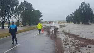 Así está la ruta Nacional N° 3 a 40 kilómetros de Patagones