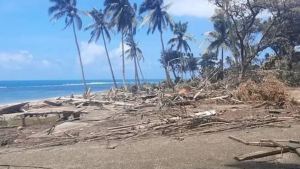 El 80% de la población de Tonga fue afectada por la erupción y el tsunami