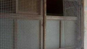 Programa de vigilancia en Río Negro, tras daños en una quincena de escuelas