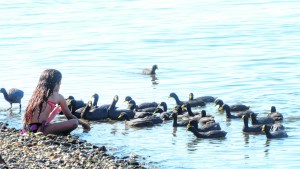 “No hay piojos de pato”, dicen desde el lago Pellegrini e invitan a vivir el verano