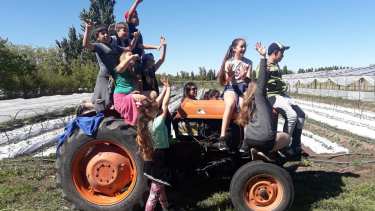 Frutos del Colorado es un emprendimiento familiar, el cual forma parte del circuito turístico rural de la región del valle medio de Río Negro.