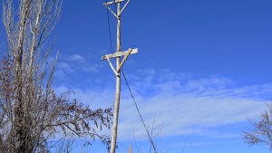 Dos ofertas para regularizar la electricidad en los asentamientos 2 y 10 de febrero de Cipolletti