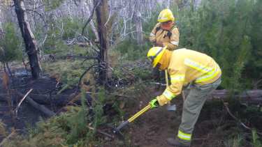 Bomberos y brigadistas lograron evitar que el incendio forestal se extienda. (Facebook Lorenzo Felix Lorente).- 