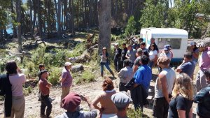Vecinos desalojaron una ocupación de 10 hectáreas en Traful y exigen claridad