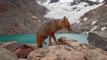 Imagen de Concurso Voy verano Patagonia: las nuevas finalistas