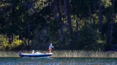 El área de Hua Hum, en la que se encuentra el paso internacional homónimo, se encuentra a 50 kilómetros de la ciudad de San Martín de los Andes. Foto:  Patricio Rodriguez