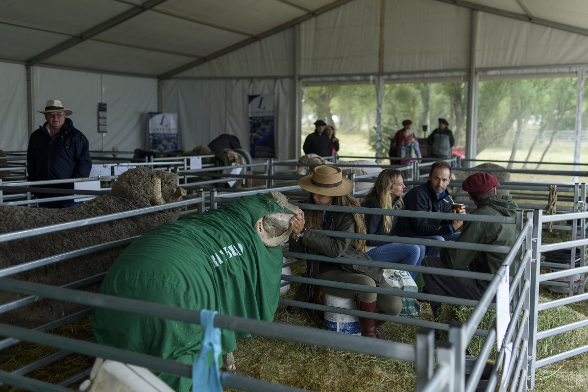 Mirá el cierre de la Exposición Rural en Bariloche - Diario Río Negro