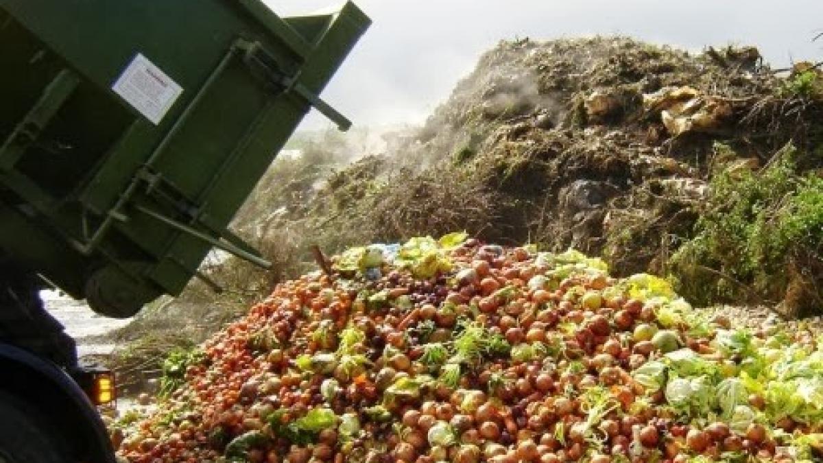 La producción global alcanzaría a cubrir la necesidad de alimentación de todo el planeta, pero los desperdicios generan que no sea posible.