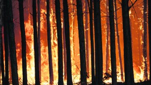 Los incendios extremos desafían a los gobiernos