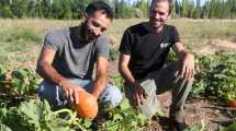 Imagen de América Libre y Huerta Aurora, los emprendimientos de agroecología que cautivaron en Roca