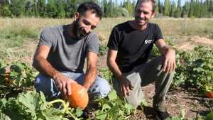 América Libre y Huerta Aurora, los emprendimientos de agroecología que cautivaron en Roca