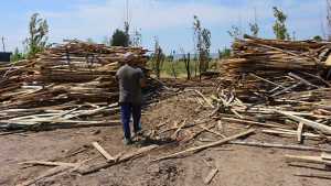 Sigue el corte en la Ruta 65 y denuncian intento de incendio en el aserradero