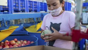 Fiesta de la Manzana 2022: lo más destacado en el predio