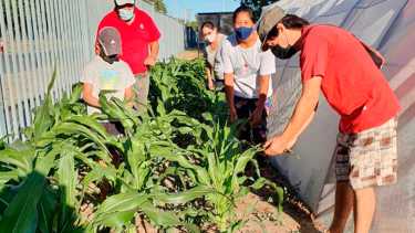 Las familias que participan del proyecto realizan su producción en los hogares.