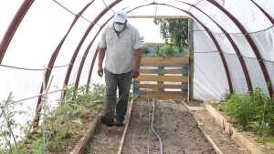 La huerta familiar, una opción en la cadena de producción en Roca