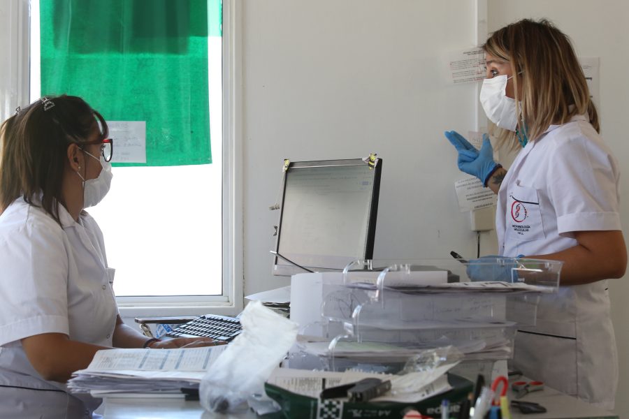 La tarea en los laboratorios rionegrinos es de gran demanda. Foto: Juan Thomes.-