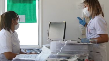 La tarea en los laboratorios rionegrinos es de gran demanda. Foto: Juan Thomes.-