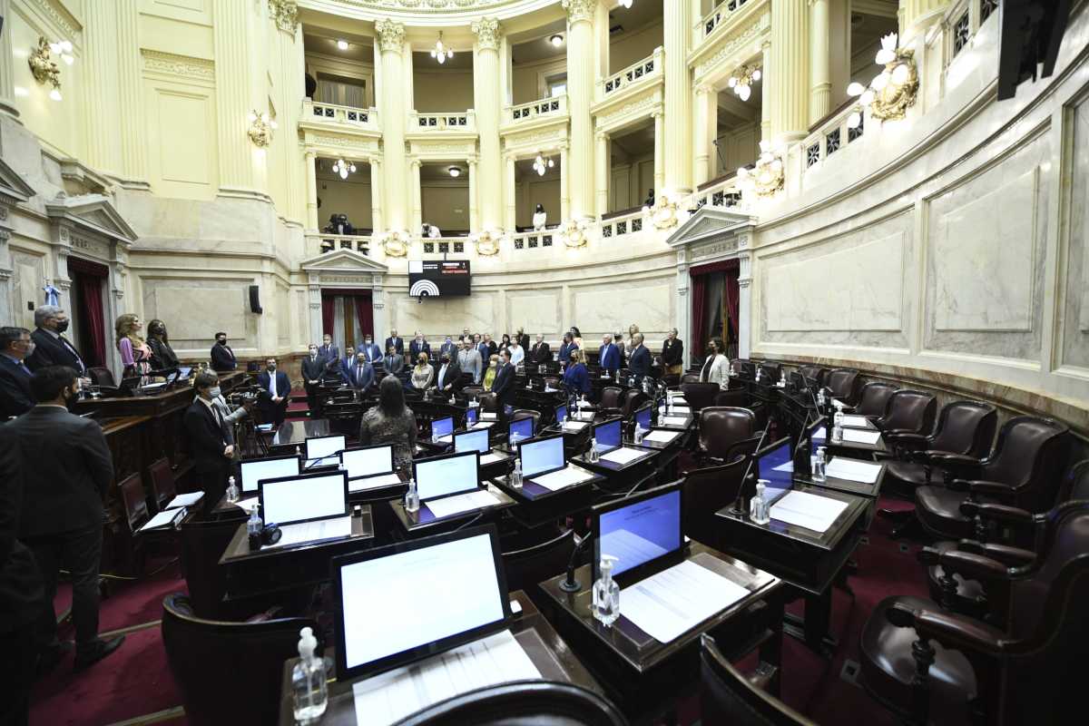 El Senado de la Nación será la segunda cámara del Congreso en debatir el proyecto. 