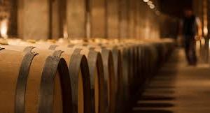 Escueta respuesta de Concha y Toro a las bodegas argentinas por el uso de la marca Patagonia