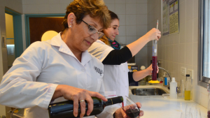 Desarrollaron levaduras autóctonas de Patagonia para producir vinos