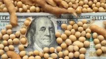 Imagen de Crisis en Ucrania: la soja toca los 645 dólares, creciendo otro 5% en las últimas horas
