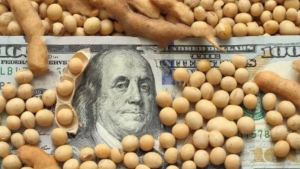 Crisis en Ucrania: la soja toca los 645 dólares, creciendo otro 5% en las últimas horas