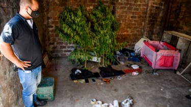 Uno de los allanamientos en busca de la cocaína adulterada. 