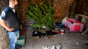 Cocaína contaminada: dónde se cortó la droga, cuándo se vendió y en qué ciudades hay víctimas