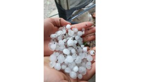 El granizo se hizo sentir en Roca y Chimpay