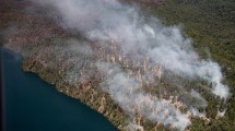 Imagen de Suman otros dos aviones hidrantes para contener los incendios en Corrientes