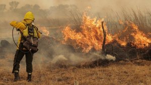 Brasil envió bomberos para combatir los incendios en Corrientes