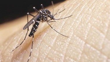 La paciente se encuentra estable y en buenas condiciones generales de salud.