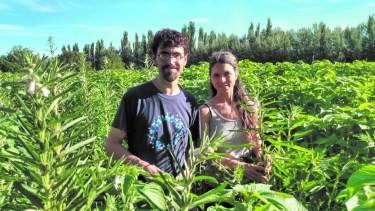 Este proyecto abarca también una instancia educativa en distintas escuelas e instituciones, para llegar a la mayor cantidad de gente.