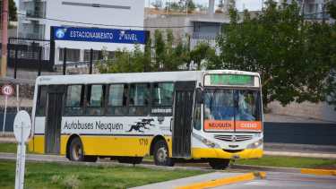 El municipio enviará en junio los pliegos para los nuevos colectivos de Neuquén
