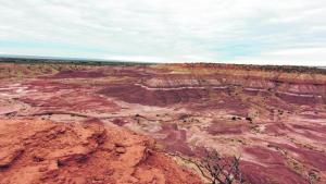 La ciencia en Patagonia está en contacto con el exterior