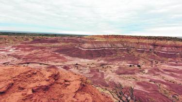 Paso Córdoba. Un área natural que guarda restos de tortugas y dinosaurios
