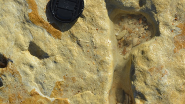 Una de las huellas que se conservaron de los Neardentales en España. Crédito: Eduardo Mayoral de la Universidad Huelva.