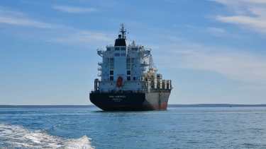 Partió de San Antonio Este el primer embarque de frutas hacia los mercados de ultramar