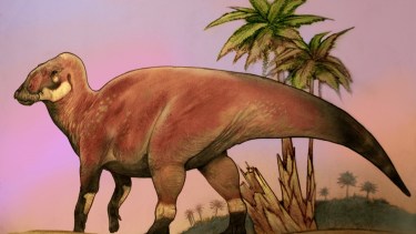 El nuevo dinosaurio fue bautizado como Kelumapusaura machi, Foto: Agencia CTyS-UNLaM