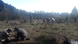 El Ejército apeló el fallo que reconoce 180 hectáreas a una comunidad mapuche de Bariloche