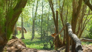 Las crecientes acciones turísticas permitieron a la localidad atravesar una gran temporada de verano. Fotos: Turismo Río Colorado