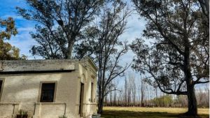 Fin de semana largo: qué actividades podés hacer los cuatro días en Roca