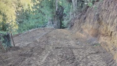 Los vecinos radicaron la denuncia ante la Delegación de Lago Moreno, la policía y la Dirección de Bosques. Foto: gentileza