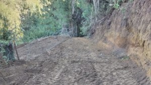 Denuncian que una máquina vial intentó un desmonte en una reserva urbana de Bariloche