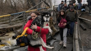 Las mascotas, otros refugiados de la guerra en Ucrania