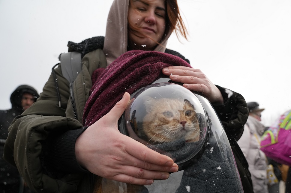 Nina, de 26 años, sostiene un transportador de mascotas con su gato mientras espera después de huir de la guerra desde la vecina Ucrania, en el cruce fronterizo de Palanca, Moldavia. (AP Photo/Sergei Grits)